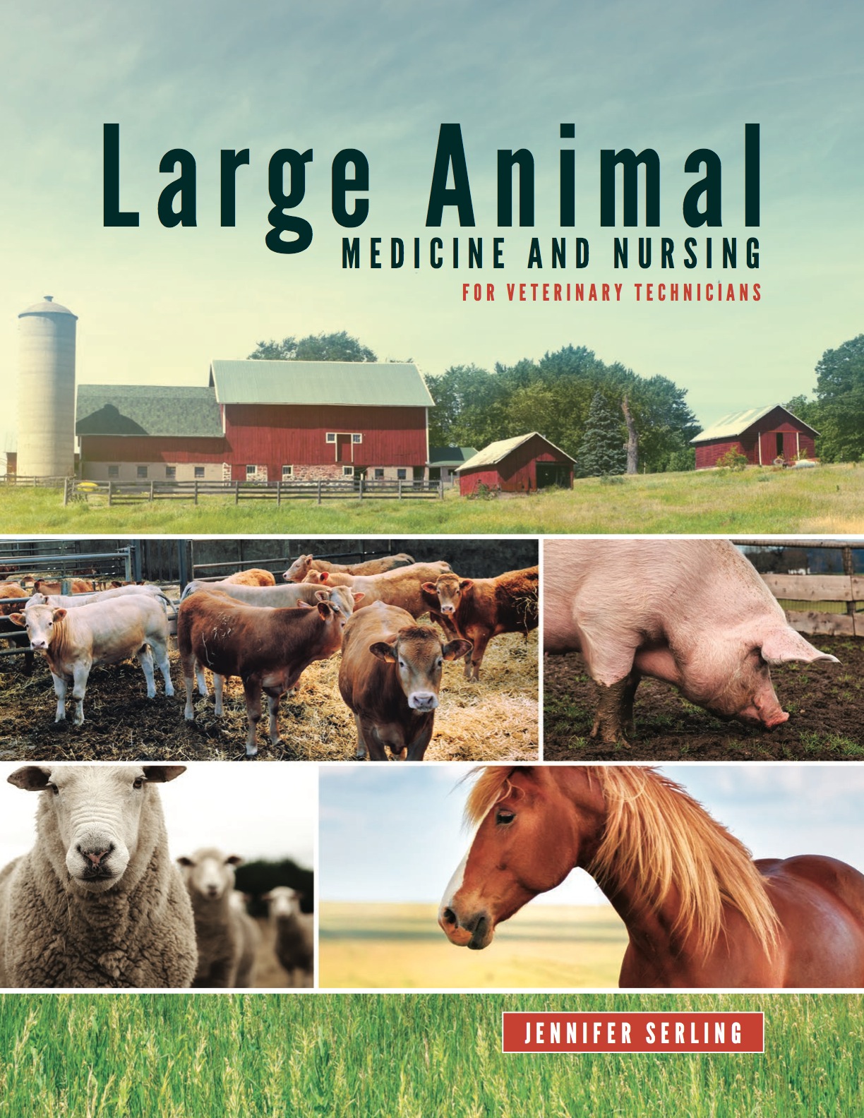 Large Animal Medicine and Nursing for Veterinary Technicians ebook