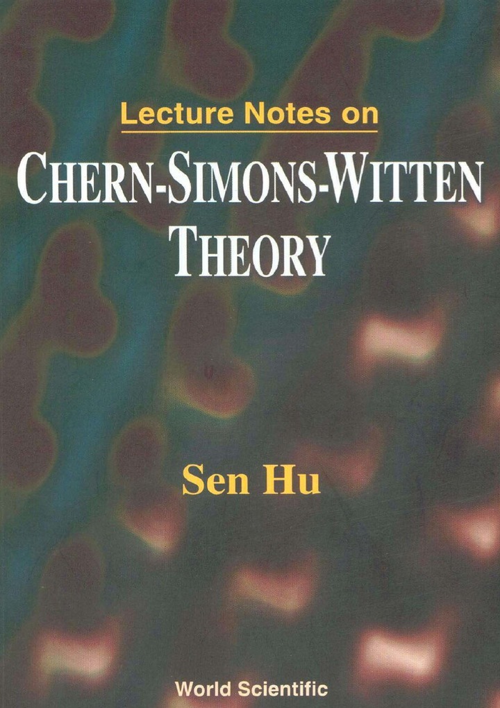 Lecture Notes On Chern-simons-witten Theory ebook
