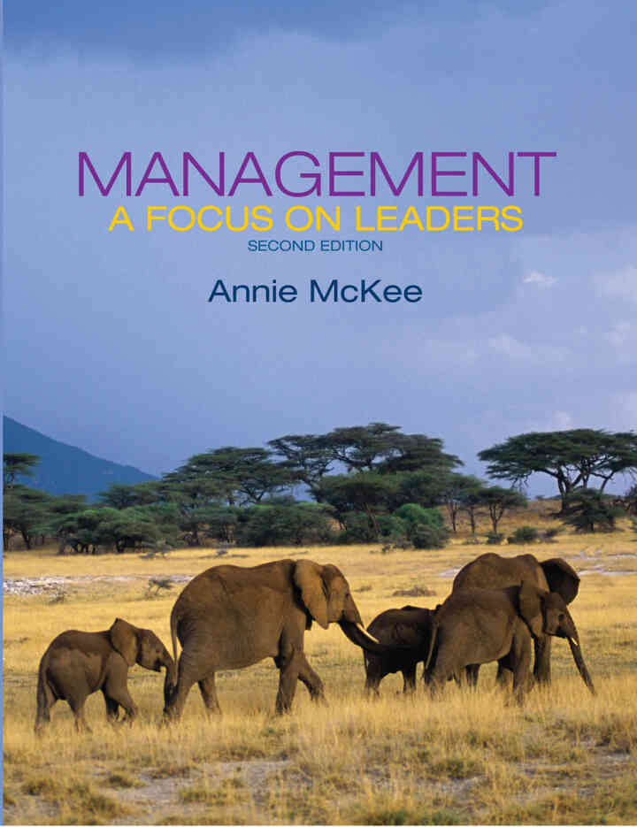 Management: A Focus on Leaders, 2nd Edition ebook