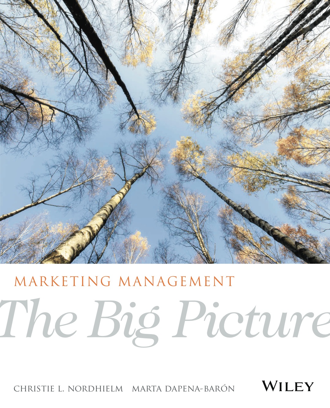 Marketing Management: The Big Picture ebook