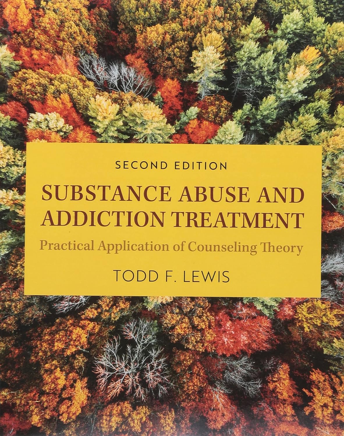 Substance Abuse and Addiction Treatment: Practical Application of Counseling Theory 2nd edition ebook