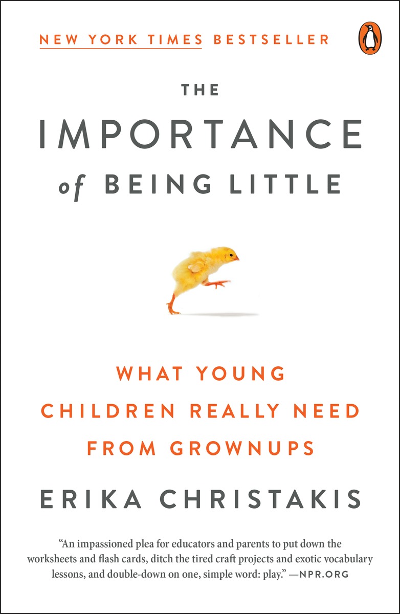 The Importance of Being Little ebook