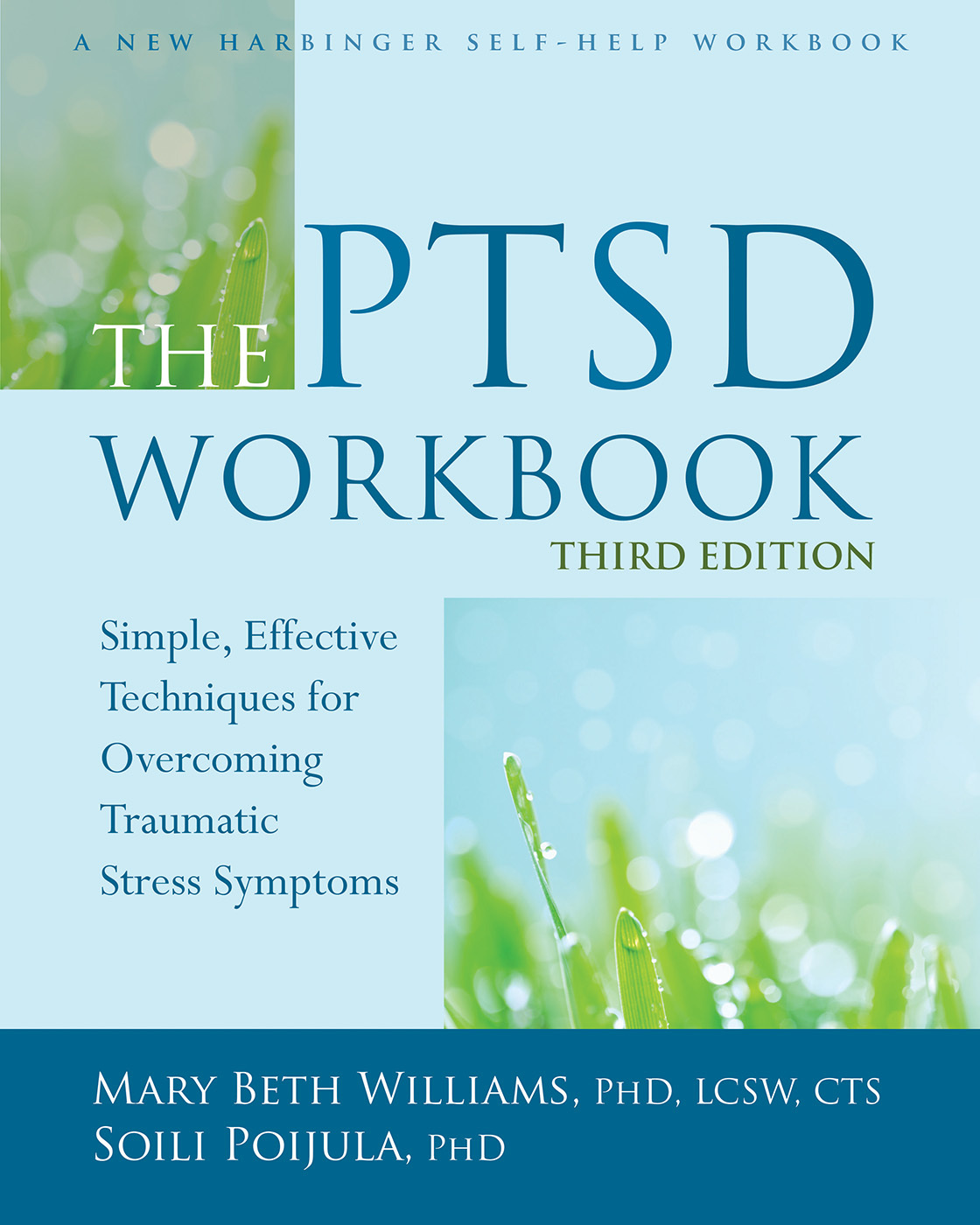 The PTSD Workbook ebook