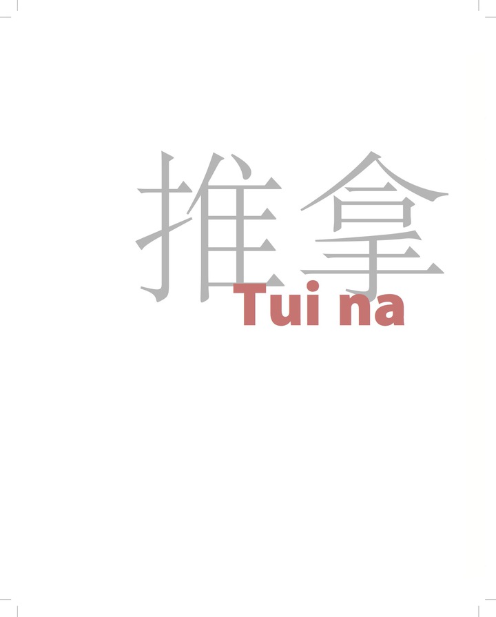 Tui na: A Manual of Chinese Massage Therapy ebook