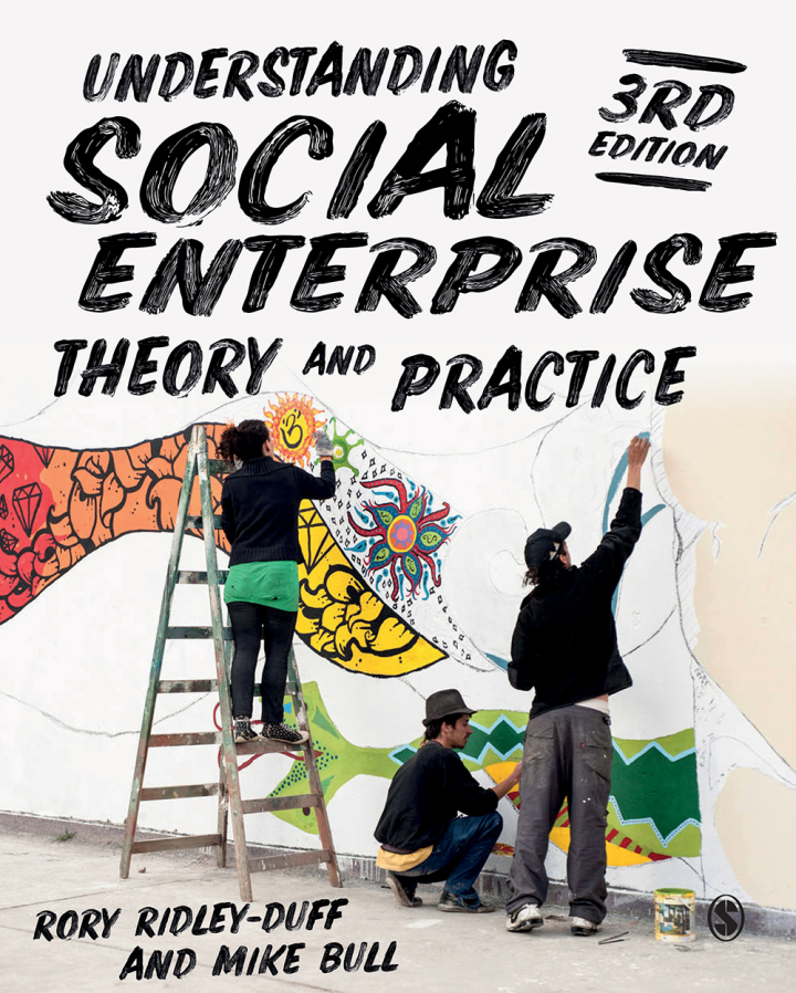 Understanding Social Enterprise: Theory and Practice ebook