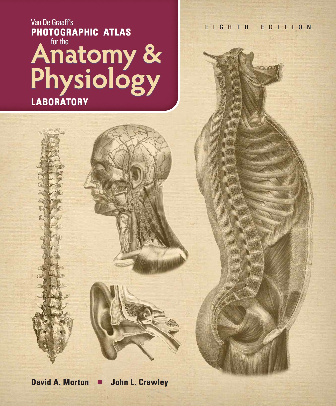 VanDeGraaff's Photographic Atlas for the Anatomy & Physiology Laboratory ebook