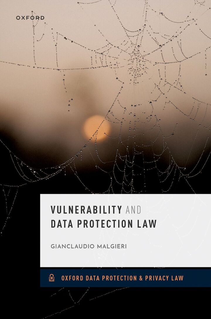 Vulnerability and Data Protection Law ebook