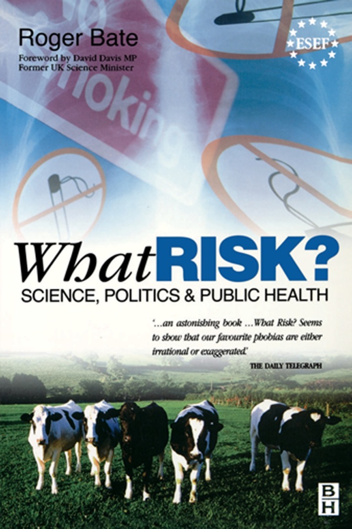 What Risk? ebook