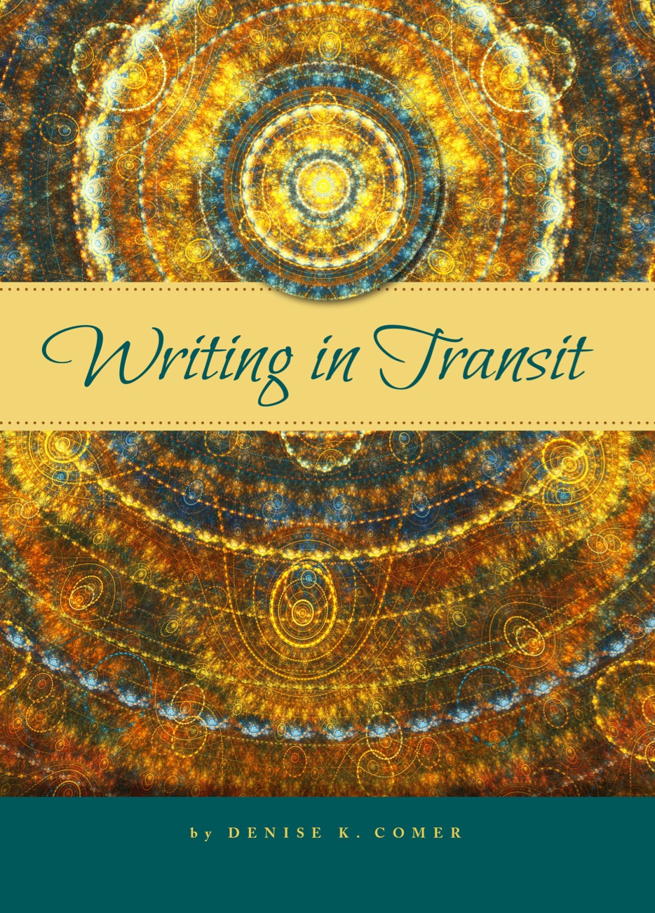 Writing in Transit ebook
