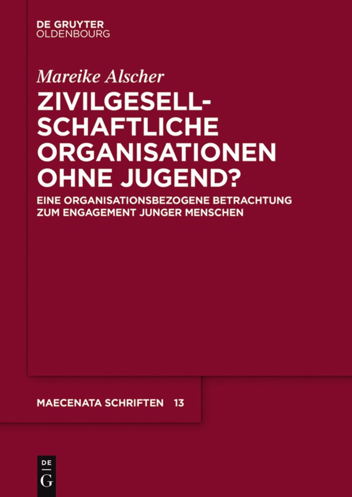 Zivilgesellschaftliche Organisationen ohne Jugend?: Eine organisationsbezogene Betrachtung zum Engagement junger Menschen ebook