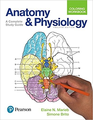 Anatomy and Physiology Coloring Workbook 12th Edition ebook