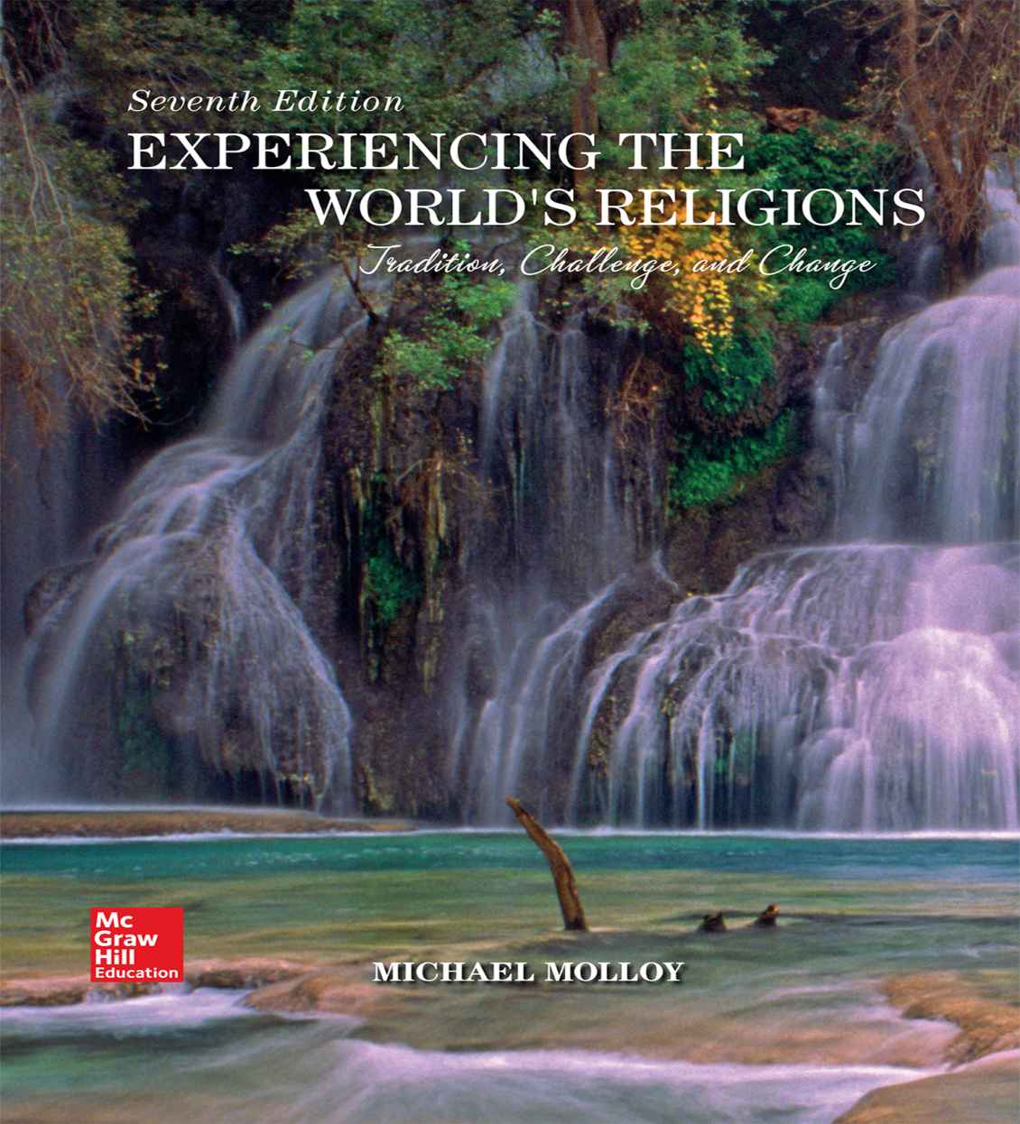 Experiencing the World�s Religions: Tradition, Challenge, and Change � 7th Edition ebook