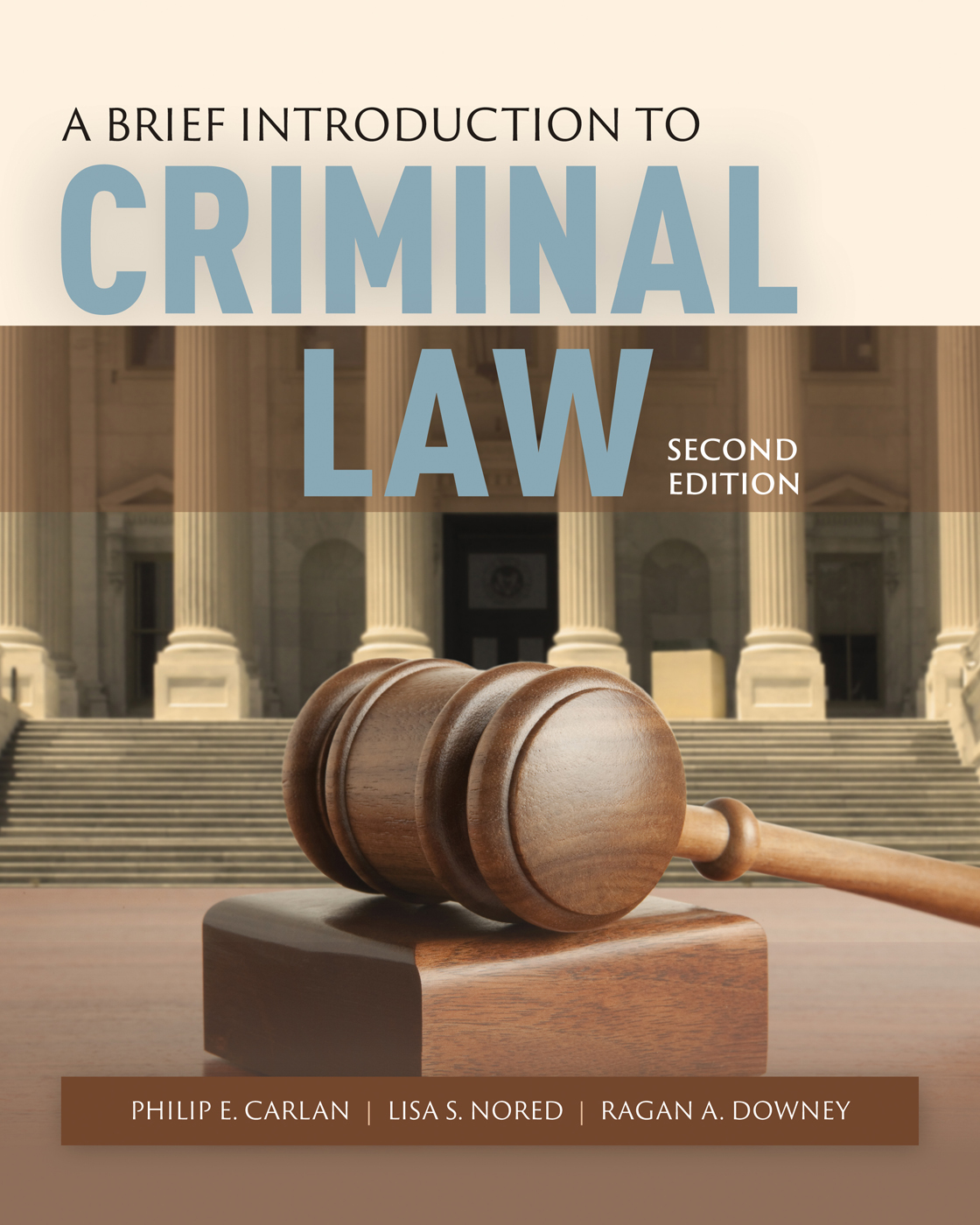 A Brief Introduction to Criminal Law ebook