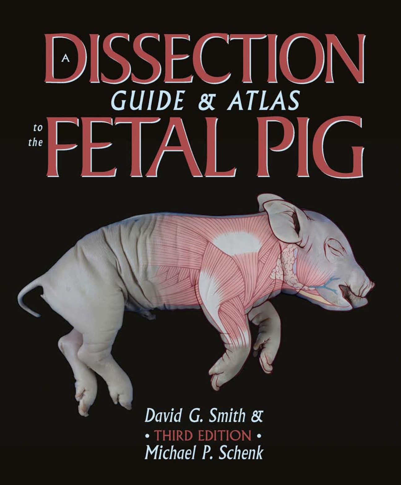 A Dissection Guide & Atlas to the Fetal Pig ebook