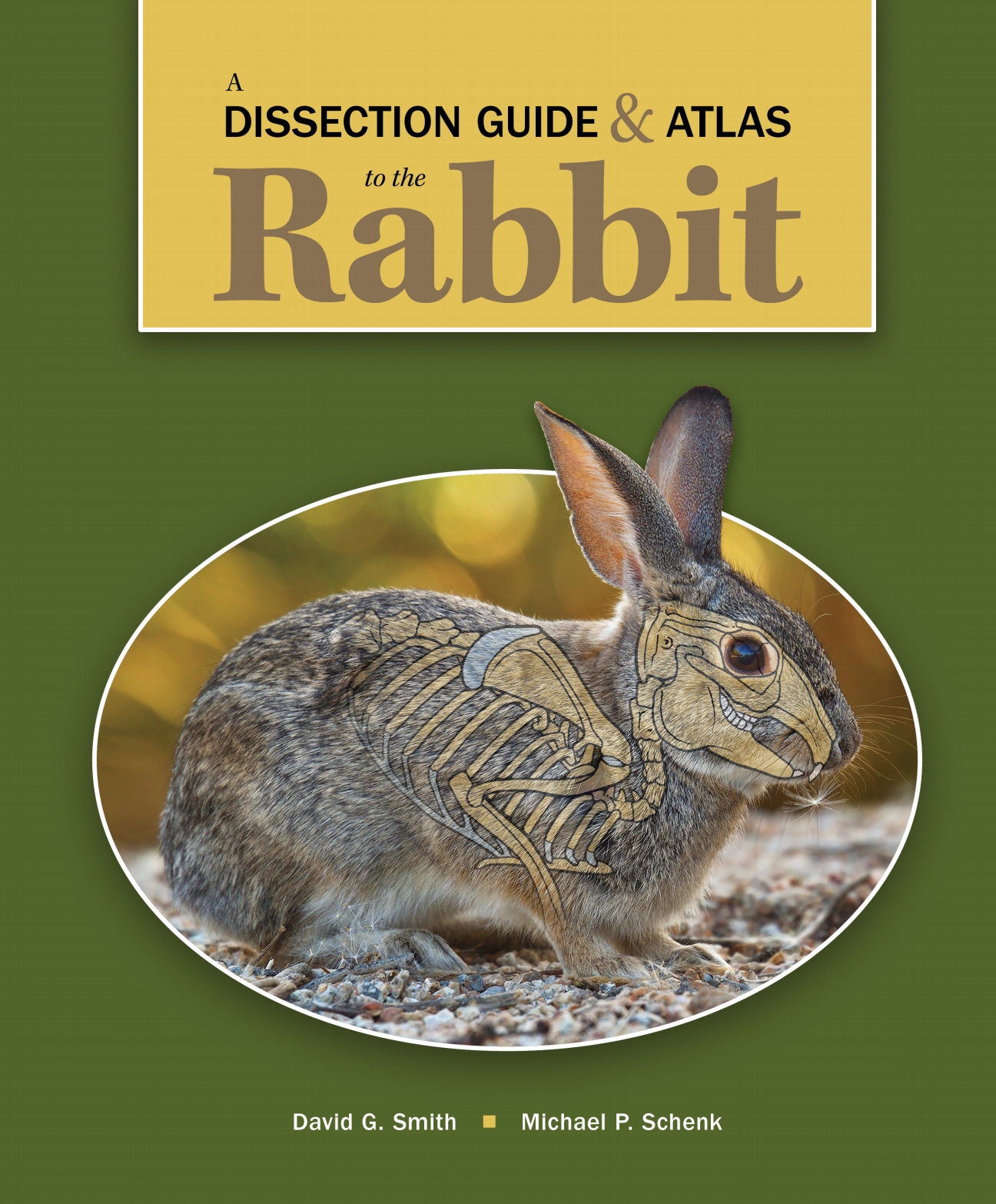 A Dissection Guide & Atlas to the Rabbit ebook