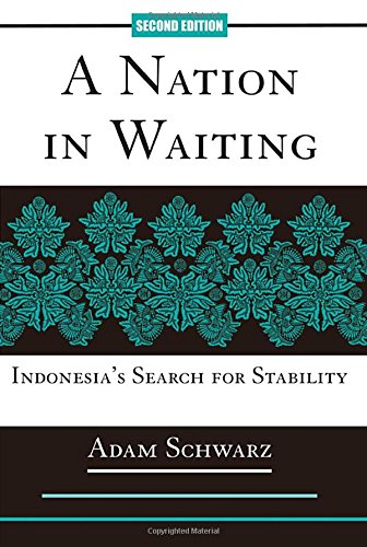 A Nation In Waiting ebook