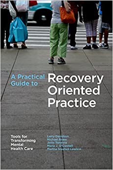 A Practical Guide to Recovery-Oriented Practice: Tools for Transforming Mental Health Care ebook