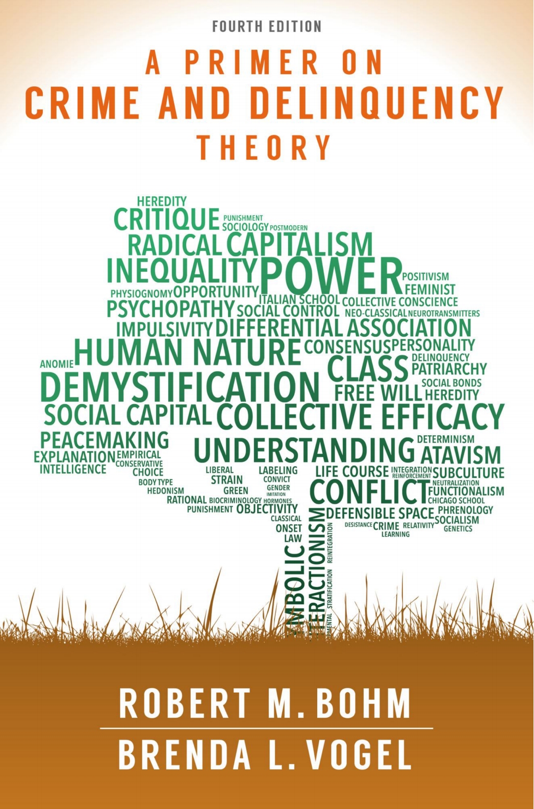 A Primer on Crime and Delinquency Theory ebook