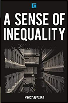 A Sense of Inequality (Transforming Capitalism) ebook