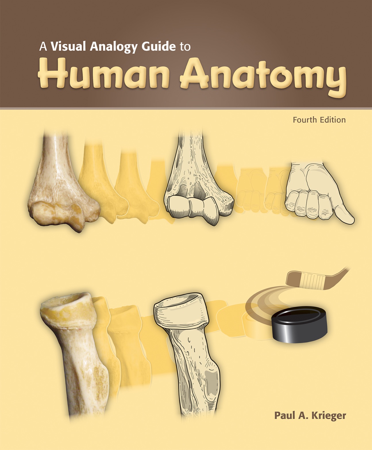 A Visual Analogy Guide to Human Anatomy ebook
