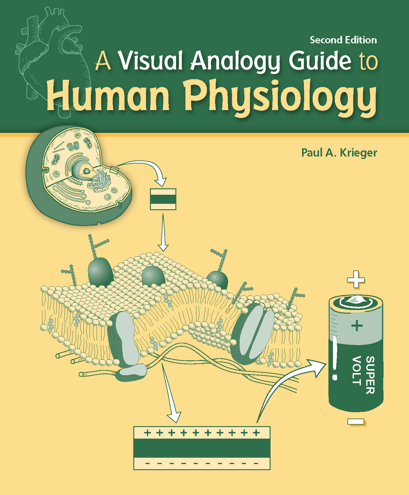 A Visual Analogy Guide to Human Physiology ebook