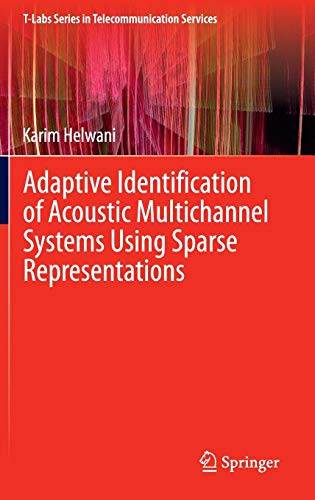 Adaptive Identification of Acoustic Multichannel Systems Using Sparse Representations ebook