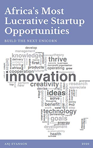 Africa's Most Lucrative Startup Opportunities: Build the Next Unicorn ebook