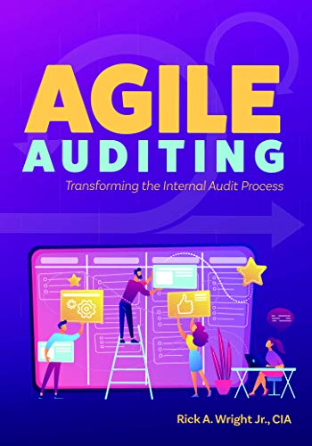Agile Auditing: Transforming the Internal Audit Process ebook