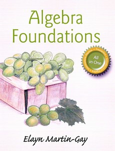 Algebra Foundations Prealgebra, Introductory Algebra, & Intermediate Algebra by Elayn Martin-Gay ebook