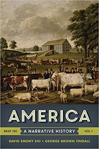 America: A Narrative History (Vol. 1) Brief Tenth Edition by David E. Shi ebook