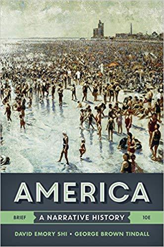 America: A Narrative History Vol. One-Volume Brief Tenth Edition by David E. Shi ebook