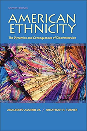American Ethnicity: The Dynamics and Consequences of Discrimination ebook