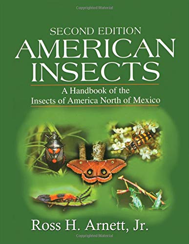 American Insects ebook