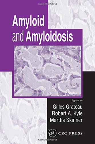 Amyloid and Amyloidosis ebook