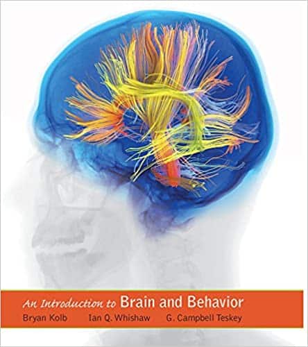 An Introduction to Brain and Behavior (5th Edition) ebook
