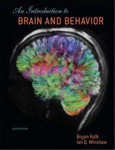 An Introduction to Brain and Behor 4th Edition by Bryan Kol ebook