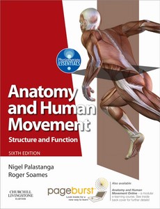 Anatomy and Human Movement Structure and function 6th Edition ebook