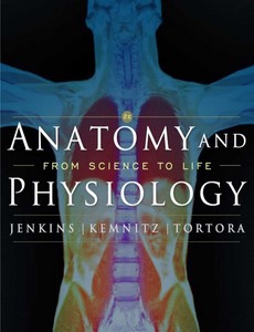 Anatomy and Physiology From Science to Life 2nd Edition by Gail Jenkins ebook