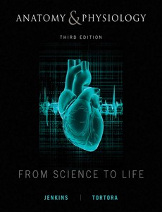 Anatomy and Physiology From Science to Life, 3rd Edition by Gail Jenkins ebook