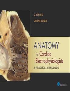 Anatomy for Cardiac Electrophysiologists A Practical Handbook 1st Edition by S. Yen Ho ebook