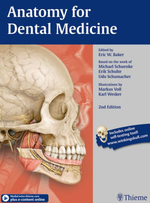Anatomy for Dental Medicine ebook