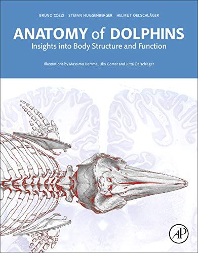 Anatomy of Dolphins ebook