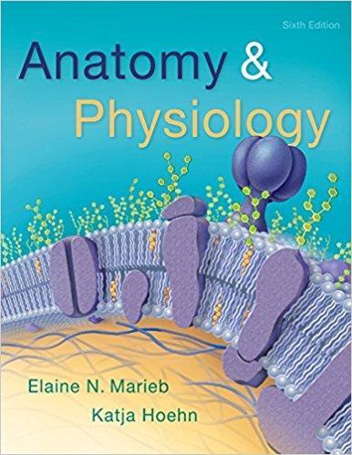 Anatomy & Physiology 6th Edition by Elaine N. Marieb ebook