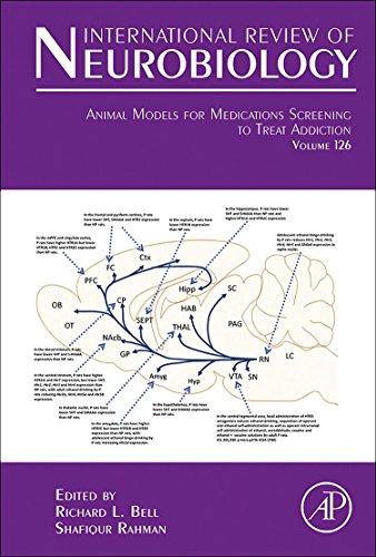 Animal Models for Medications Screening to Treat Addiction ebook
