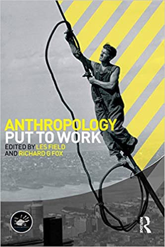 Anthropology Put to Work (Wenner-Gren International Symposium Series Book 3) ebook