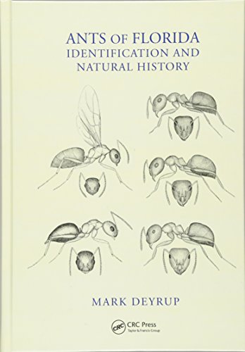 Ants of Florida ebook