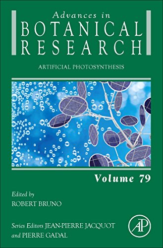 Artificial Photosynthesis ebook