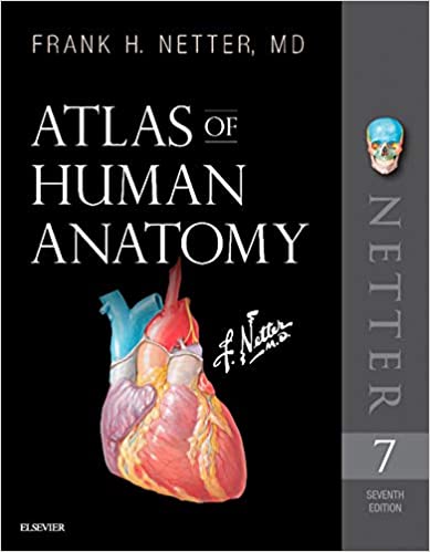 Atlas of Human Anatomy: Digital (Netter Basic Science) ebook