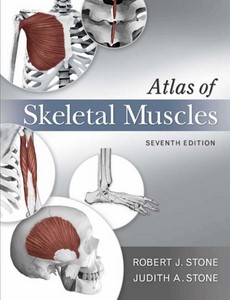 Atlas of Skeletal Muscles 7th Edition by Judith Stone ebook