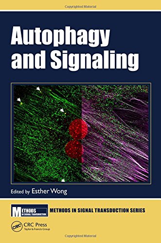 Autophagy and Signaling ebook
